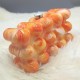 Women Acrylic Clutch Chic Marble Evening Handbag Orange Women Acrylic Clutch Chic Marble Evening Handbag Orange